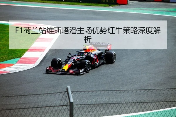 he-lan-zhan-wei-si-ta-pan-zhu-chang-you-shi-hong-niu-ce-lve-shen-du-jie-xi-2-495.jpg